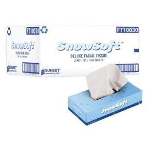 Facial Tissue 2 ply 100 sheets, 30 Boxes