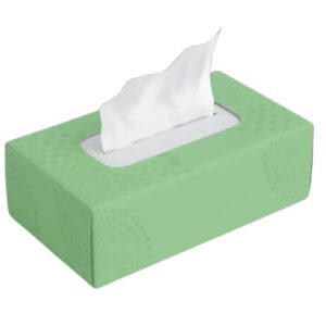 Go-Go Facial Tissue 2 ply 210 sheets (24 boxes)